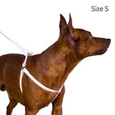 Jun 19, 2020 · the collardirect pitbull muzzle is specifically designed for larger dogs, like pitbulls and staffordshire terriers. Collardirect Rolled Leather Dog Harness Small Puppy Step In Leash Set Walking Pink Red White Blue Green Black Purple Beige Brown Yellow Brown S Dogs Basic Halter Harnesses