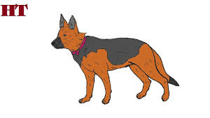 How To Draw A German Shepherd Step By Step Dog Drawing Easy Dog Drawing Simple Black German Shepherd German Shepherd Funny