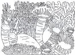 It is, no doubt, a pure gem of artistic expression. Coral Reef Coloring Pictures Novocom Top
