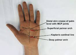 The lower right side may be tender and swollen. Applied Basic Sciences Section 5 Postgraduate Orthopaedics