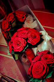 331 likes · 4 talking about this · 17 were here. Beautiful Ferrari Red Rose Bridesmaid Bouquets Supplied By Noi Due Rijeka Very Vibrant Red Loo Rose Bridesmaid Bouquet Bridesmaid Bouquet Wedding Bouquets