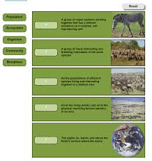 Abiotic And Biotic Factors In The Ocean Abiotic And Biotic Factors 5e Lesson Plan Abiotic Science Lessons How To Plan