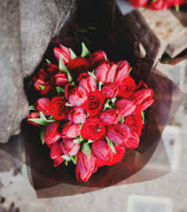 Maybe you would like to learn more about one of these? Untitled Image 4083160 On Favim Com