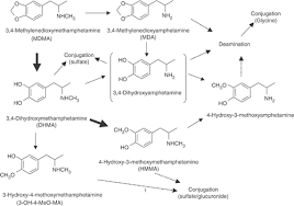 Image result for Methylenedioxymethamphetamine