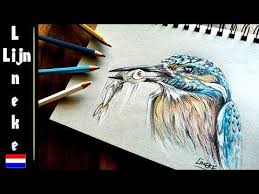 Zo Teken Je Een Ijsvogel Met Kleurpotlood Realistisch Youtube Vogels Tekenen Kleurrijke Tekeningen Uilen Tekenen