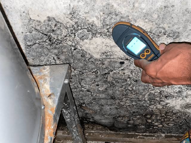 What is Involved with Mold Inspection Service in Northeast Philadelphia? |  Rytech Restoration of Northeast Philadelphia