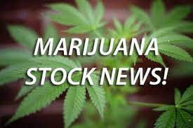 $igpk so i take it there is no timeframe by the sec to submit the s1/a? Disclaimer Terms And Conditions Of Use Marijuana Stocks Cannabis Investments And News Roots Of A Budding Industry