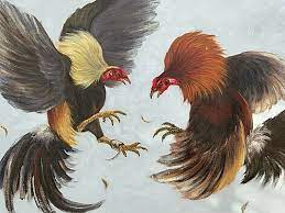 Fighting cocks painting