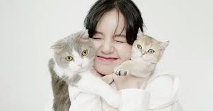 Her endearing expressions and cute movements are sure to make you lots of new friends! à¸—à¸²à¸ªà¹à¸¡à¸§à¸¥à¸°à¸¥à¸²à¸¢ à¸—à¸³à¸„à¸§à¸²à¸¡à¸£ à¸ˆ à¸à¸ à¸š 5 à¸ªà¸¡à¸²à¸Š à¸à¹à¸ à¸‡à¸‚à¸™à¸› à¸¢à¸‚à¸­à¸‡ à¸¥ à¸‹ à¸² Blackpink