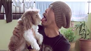 Ia berikutan namawee mencalarkan imej penyanyi. 101 Damnations It S A Dog S Life In Malaysia Rebuilding Malaysia