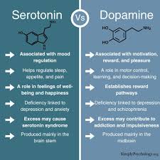 Image result for Dopamine