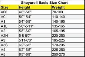 Gi Review The Shoyoroll Rio Koi Brazilian Jiu Jitsu Gi