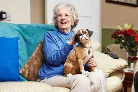 Before their gogglebox debut, giles dedicated his life to art and is an acclaimed artist, while mary is a journalist. Wzfcitlkibukzm