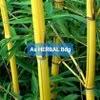 Jika dulu tempat tinggal dijadikan untuk tempat perlindungan dari perubahan. Jual Bahan Kerajinan Bambu Kuning Mini Kondisi Sudah Di Potong Di Lapak As Herbal Bdg Bukalapak