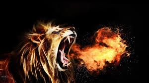 1920x1080 Roaring Lion Hd Wallpapers Lion Wallpaper Pet Birds Lion Hd Wallpaper