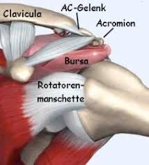 Impingement Syndrom Ursachen Therapie Orthopadie Aukamm