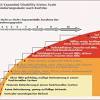 05 hegasy multiple sklerose wiki de ccbysa.png 3,508 × 2,480; 1