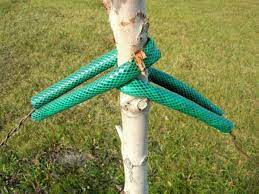 Check spelling or type a new query. How To Recycle Or Reuse An Old Garden Hose Feltmagnet
