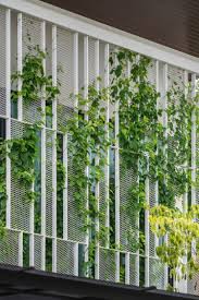 Begrunte Fassade Designer Haus Moderne Architektur Gitter Sichtschutz Sonnenschutz Terrasse Grune Fassade Moderne Architektur Architektur