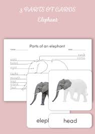 These pieces move and capture exactly two points diagonally and may not jump over intervening pieces; Montessori 3 Part Cards Parts Of An Elephant By Montessori Open Print