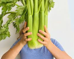 Healing Giant The Magic Of Celery Juice Hive