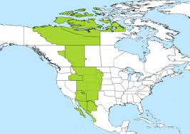 Select createdat at time zone 'utc' at time zone 'america/losangeles'. Cet To Mst Converter Savvy Time