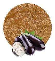 Eggplant Puree Manufacturer And Supplier Lemonconcentrate