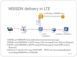 What is msisdn used for? Msisdn Delivery In Ehrpd Ppt Download