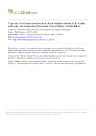 Image result for Hermbstaedtia schaeferi