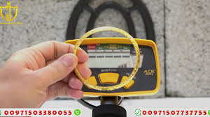 Best gold metal detectors are made with enhanced signals that are meant to find even half a grain size of gold in the field. Garrett Metal Detectors Garrett Ace 200 Great For Beginners Relic Hunters Dry Beach Youtube