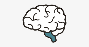Watch videos from super simple in the super simple app for ios! Understand It Simple Clip Art Brain Transparent Png 701x700 Free Download On Nicepng