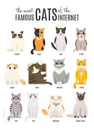 I Draw The Most Famous Cats On The Internet Internet Cats Cat Facts Cats Illustration