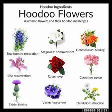 Hoodoodelish Instagram Stories Hoodoo Magic Hoodoo Conjure Hoodoo Conjure Rootwork
