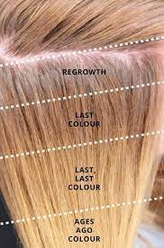 Knowing Your Hair History Is The Key To Being A Great Colourist Hair Color Formulas Aveda Hair Color Colored Hair Tips