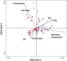 Image result for Enteropogon monostachyos