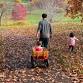 Falling for the Arboretum - Family Program
