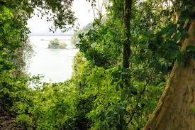 Best Free Hike Near Manuel Antonio: Reto Mae