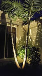 Jupiter Landscape Lighting Uplighting Trees In 2020 Landscape Lighting Design Commercial Outdoor Lighting Landscape Lighting