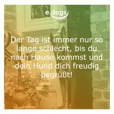 Pin Auf Edogs Informationen Rund Um Den Hund