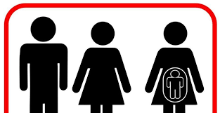 Il y a plusieurs protocoles. Les Droits Des Salariees En Matiere De Procreation Medicalement Assistee Pma Cdmf Avocats Eurojuris