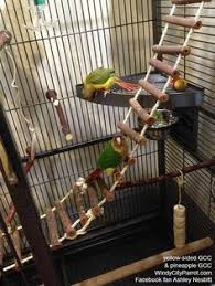 pet bird cage ideas large flexible rope ladder from prevue bird cage naturals kus oyuncaklari papagan papaganlar