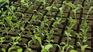 3 how to start a hydroponic home garden (setup). Hydroponic Supplies Systems For The Beginner Advanced Nutrients