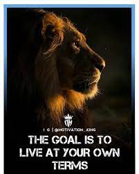 Pin On Lion Inspiraional And Life Quotes Motivation King