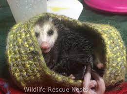 Pin On Charity Knitting And Sewing