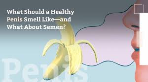 Health infographics, good habits, healthy activities. 6 Unexpected Health Benefits Of Semen