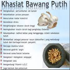 Kunci dari cara menanam bawang putih di polybag yang berhasil ada pada pemilihan umbi bawang. Khasiat Bawang Putih Dan Bawang Tunggal 1 0 Apk Download Com Khasiatbawangputih Yusupdev Apk Free