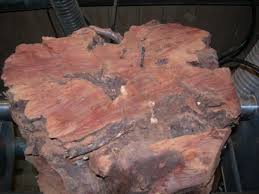 Image result for manzanita burls
