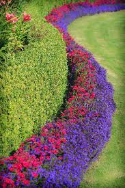 A hedge for all seasons. finally, get more ideas on how to successfully plant, grow, and care for yew tree with our. Flowers And Hedge Photograph By Mike Penney Front Garden Landscape Flower Garden Ideas Landscaping Lawn And Landscape