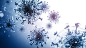 Severe acute respiratory syndrome (sars) 2020 Top 50 Sars Cov 2 Articles