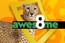 Type awesome while watching a youtube video in full screen mode (self.google). Awesome 8